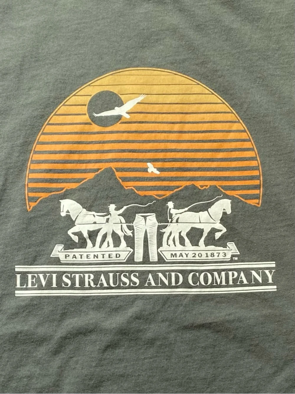 Levis elevate your